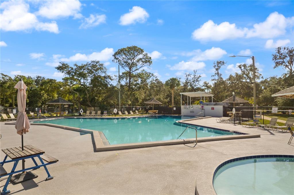3000 Clarcona Road, Unit 1218 Apopka, FL 32703 - Photo 21 of 22 a view of a swimming pool with a yard and a fountain