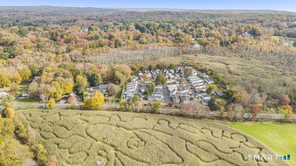 55 Sugar Street, Unit 14 Newtown, CT 06470 - Photo 17 of 18 an aerial view of residential houses with outdoor space