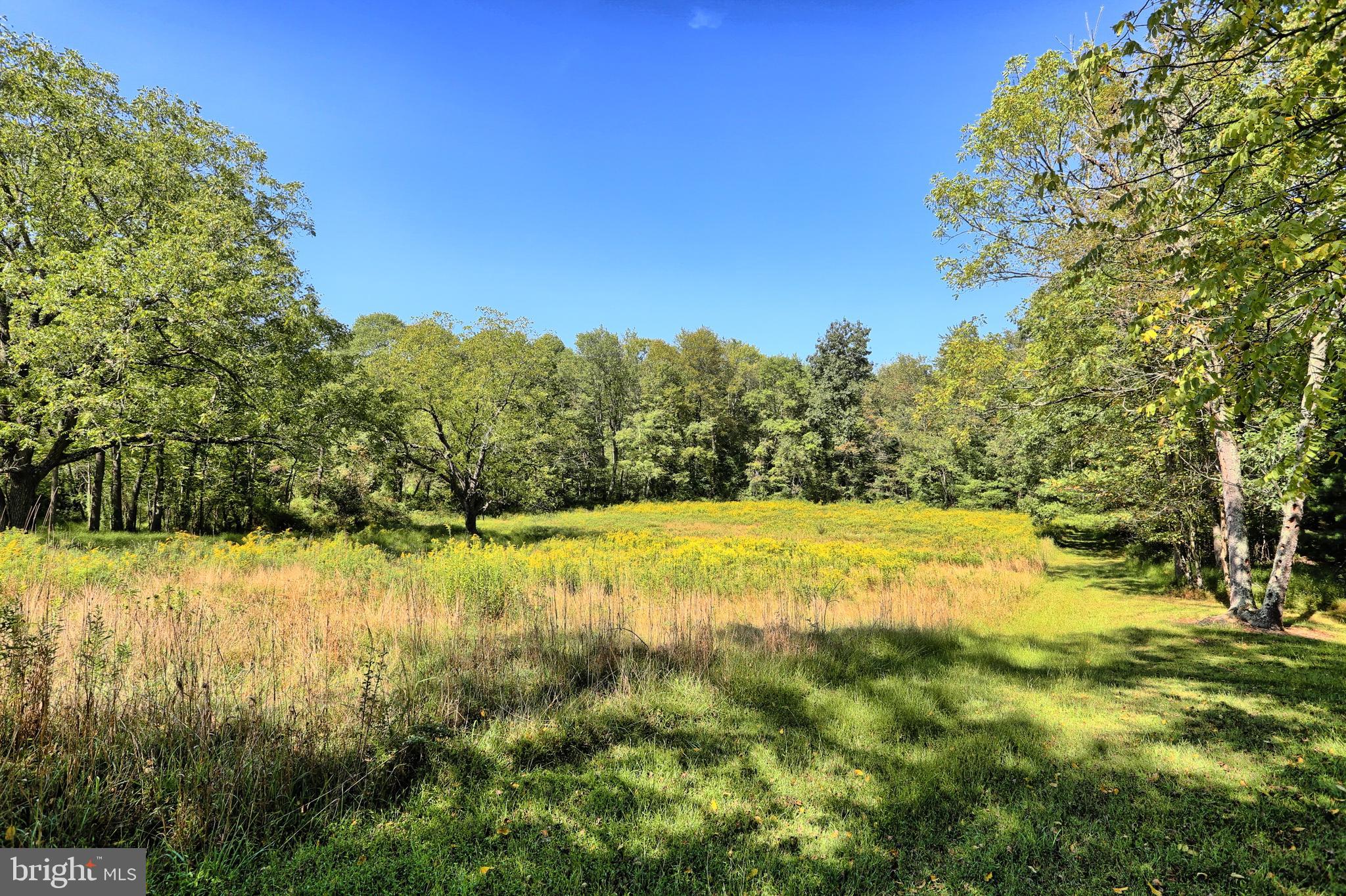 4144 Back Road Halifax, PA 17032 - Photo 15 of 24