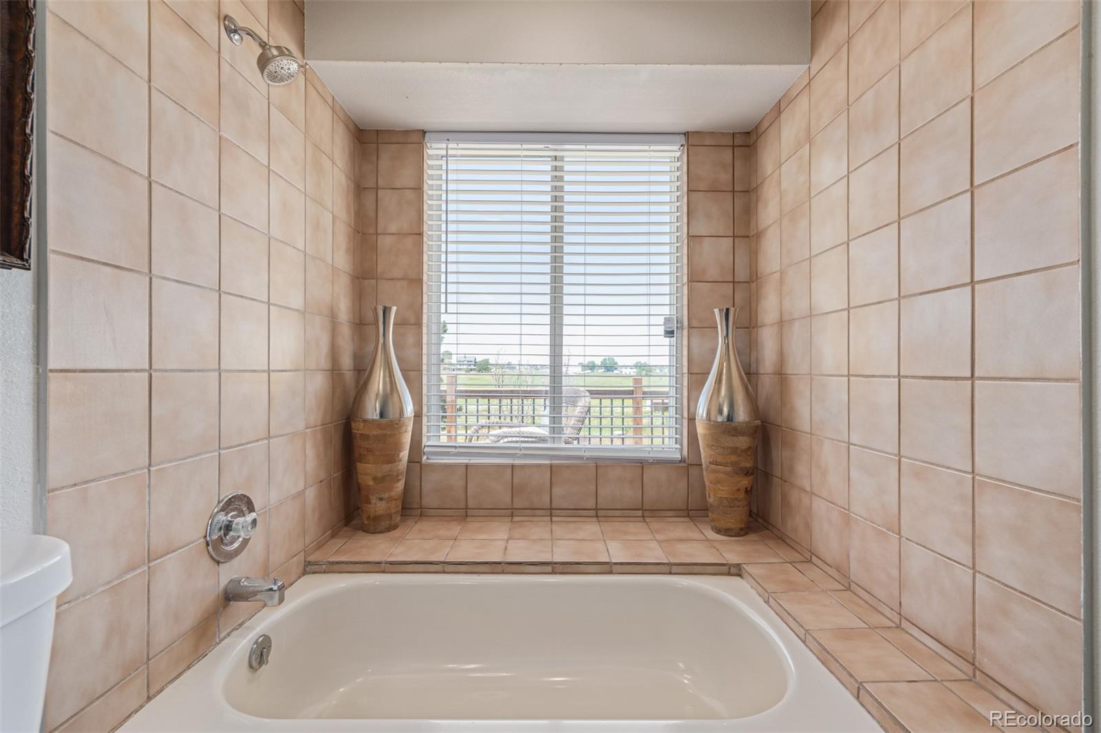 42313 Vista Ridge Road Parker, CO 80138 - Photo 22 of 50