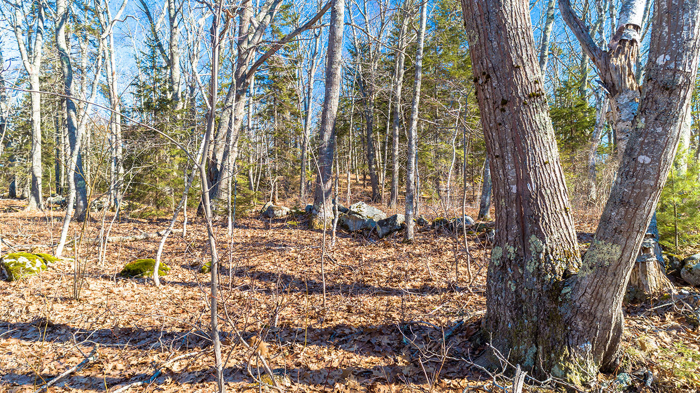 0 Caven Road Spruce Head, ME 04859 - Photo 12 of 16 DJI_0018