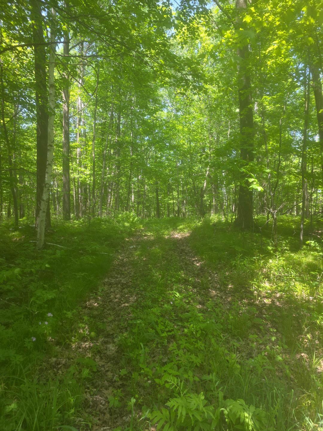 0 26 1/2 Cumberland, WI 54829 - Photo 6 of 11