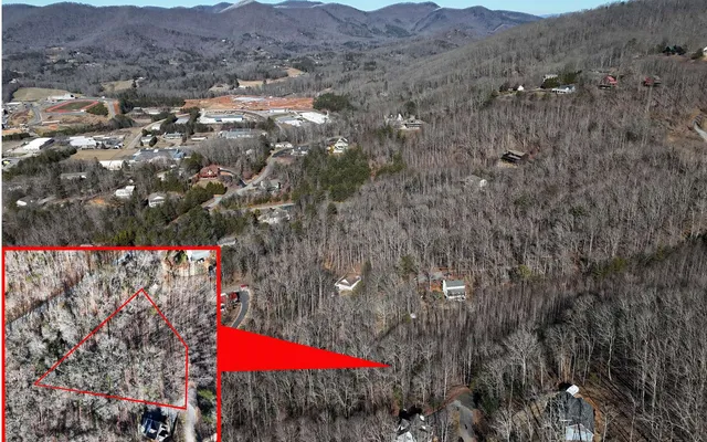 an aerial view of residential house and green space