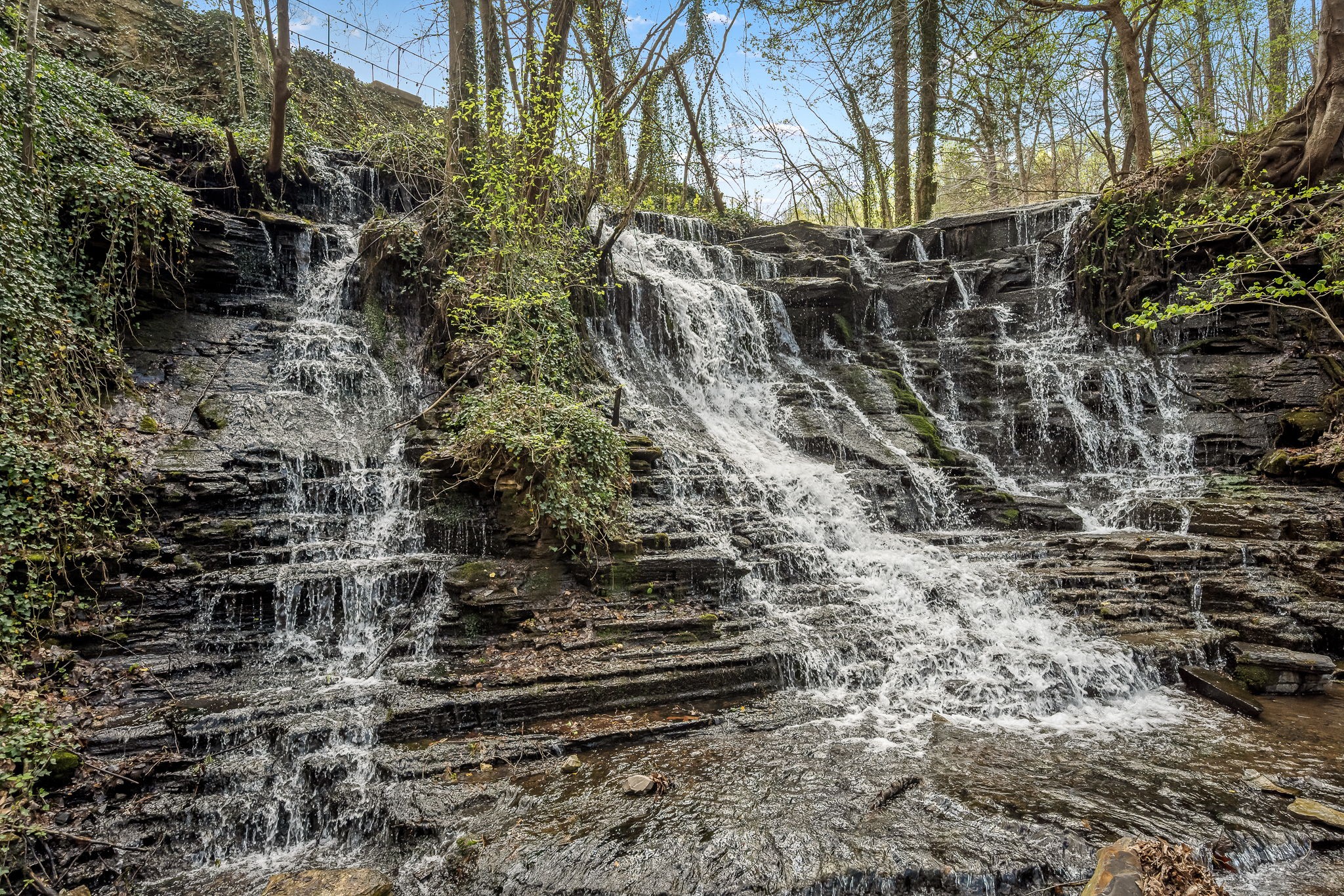 2708 Ledford Mill Road Normandy, TN 37360 - Photo 60 of 99 Gallery Image 60