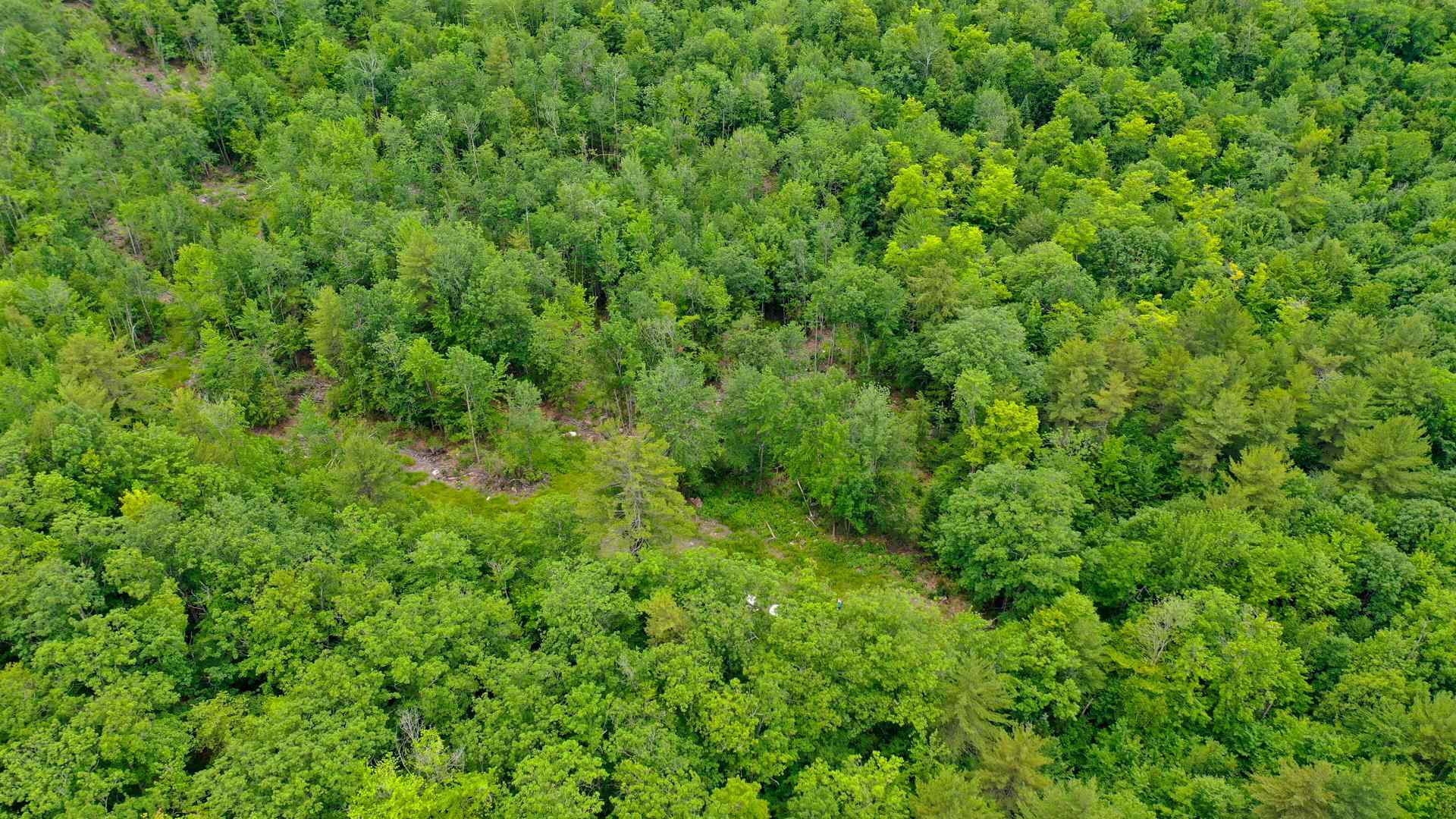 0 Swamp Road Sebago, ME 04029 - Photo 4 of 9