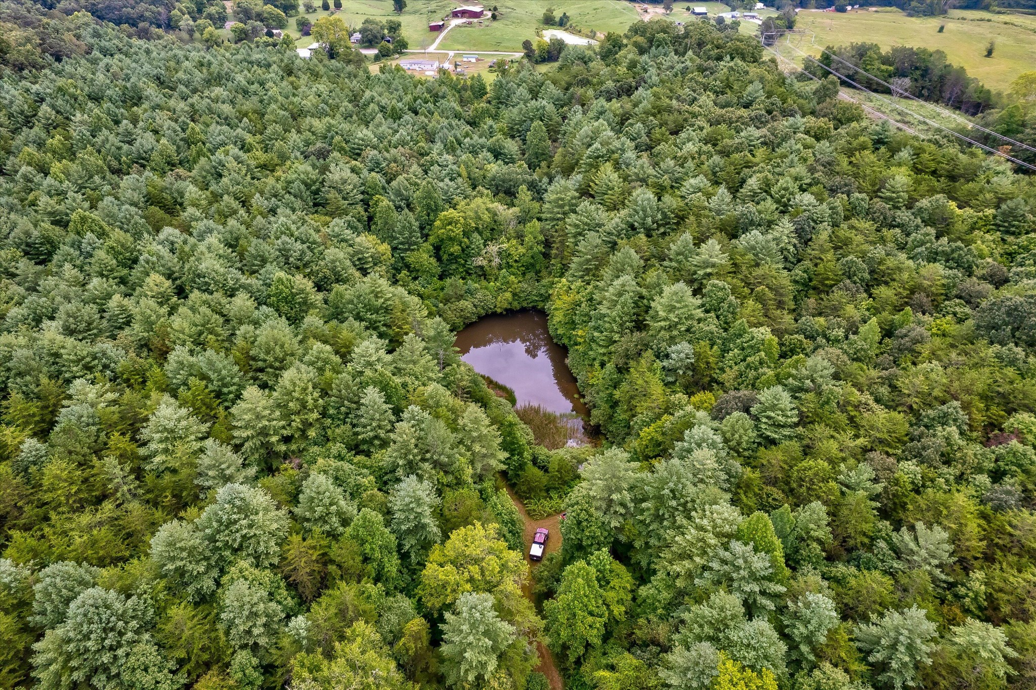 130 Kelsay Road Ten Mile, TN 37880 - Photo 5 of 14 a view of a yard