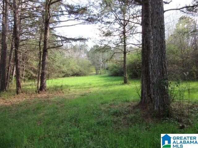 229 County Road, Unit 29 Thorsby, AL 35171 - Photo 17 of 23