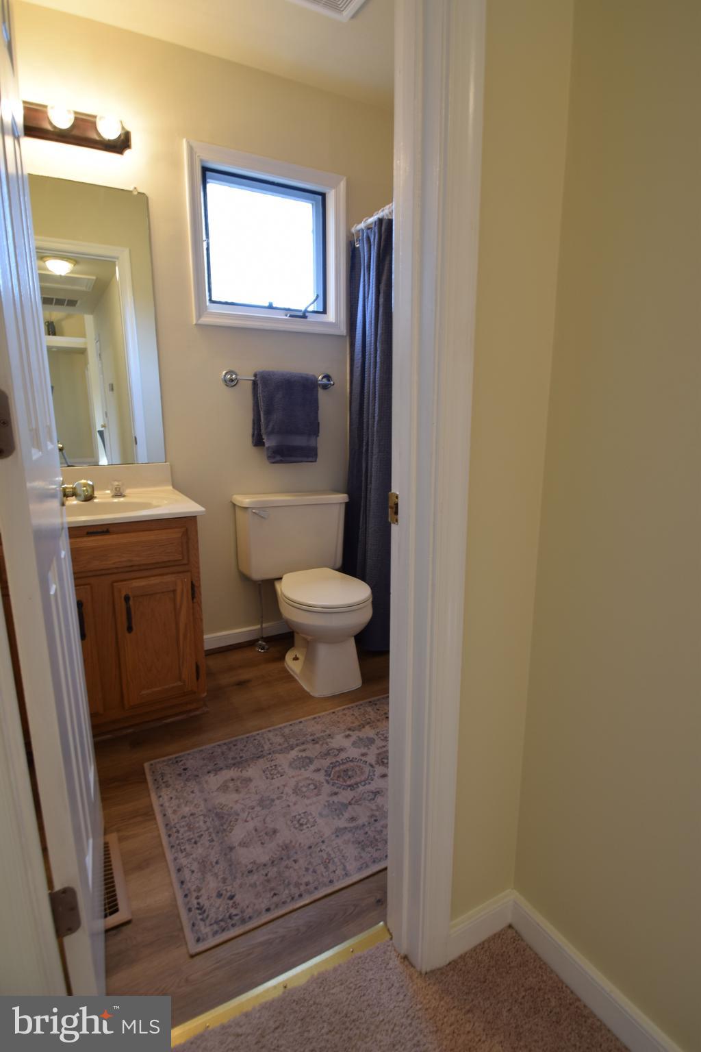 308 Ridgemore Street Fredericksburg, VA 22405 - Photo 15 of 38 GUEST BATH VIEW (1)