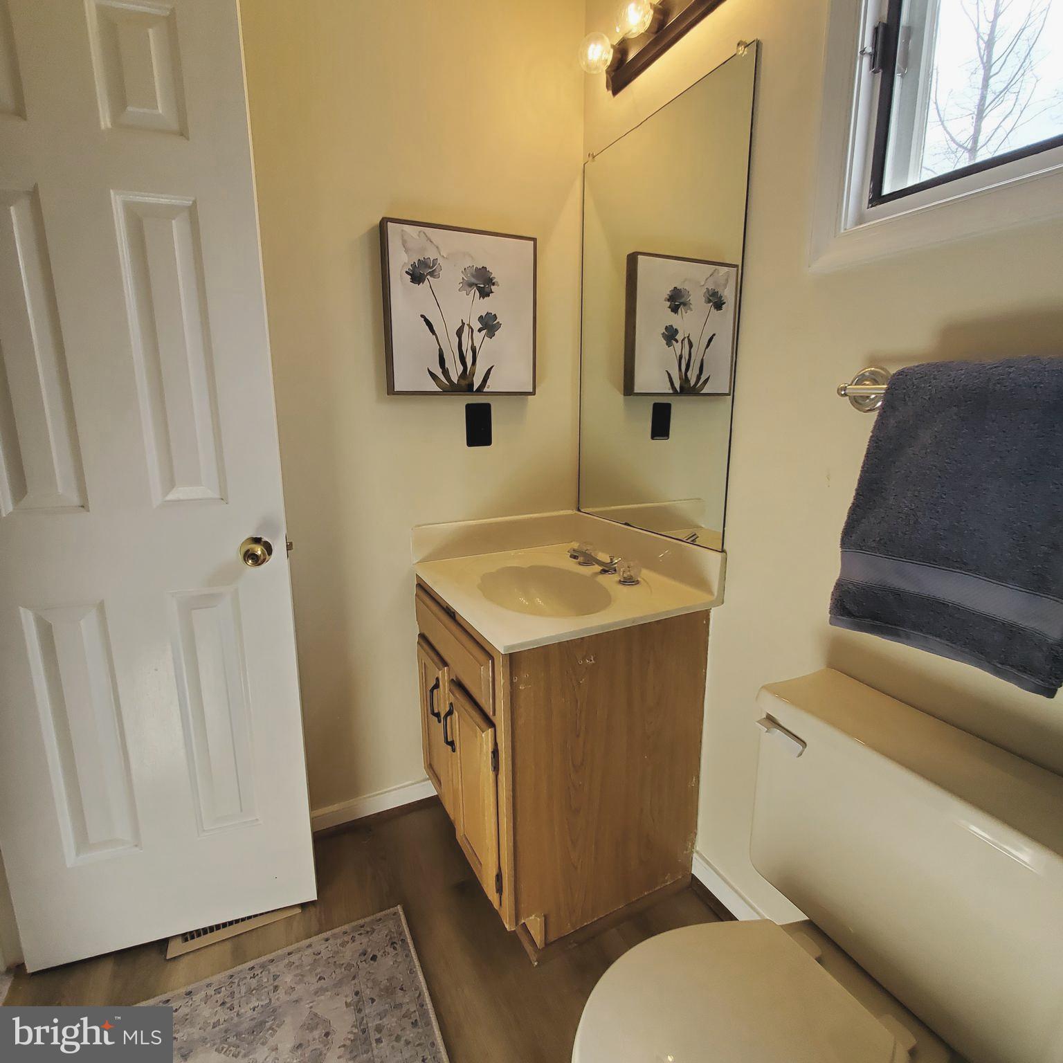 308 Ridgemore Street Fredericksburg, VA 22405 - Photo 16 of 38 GUEST BATH VIEW (2)
