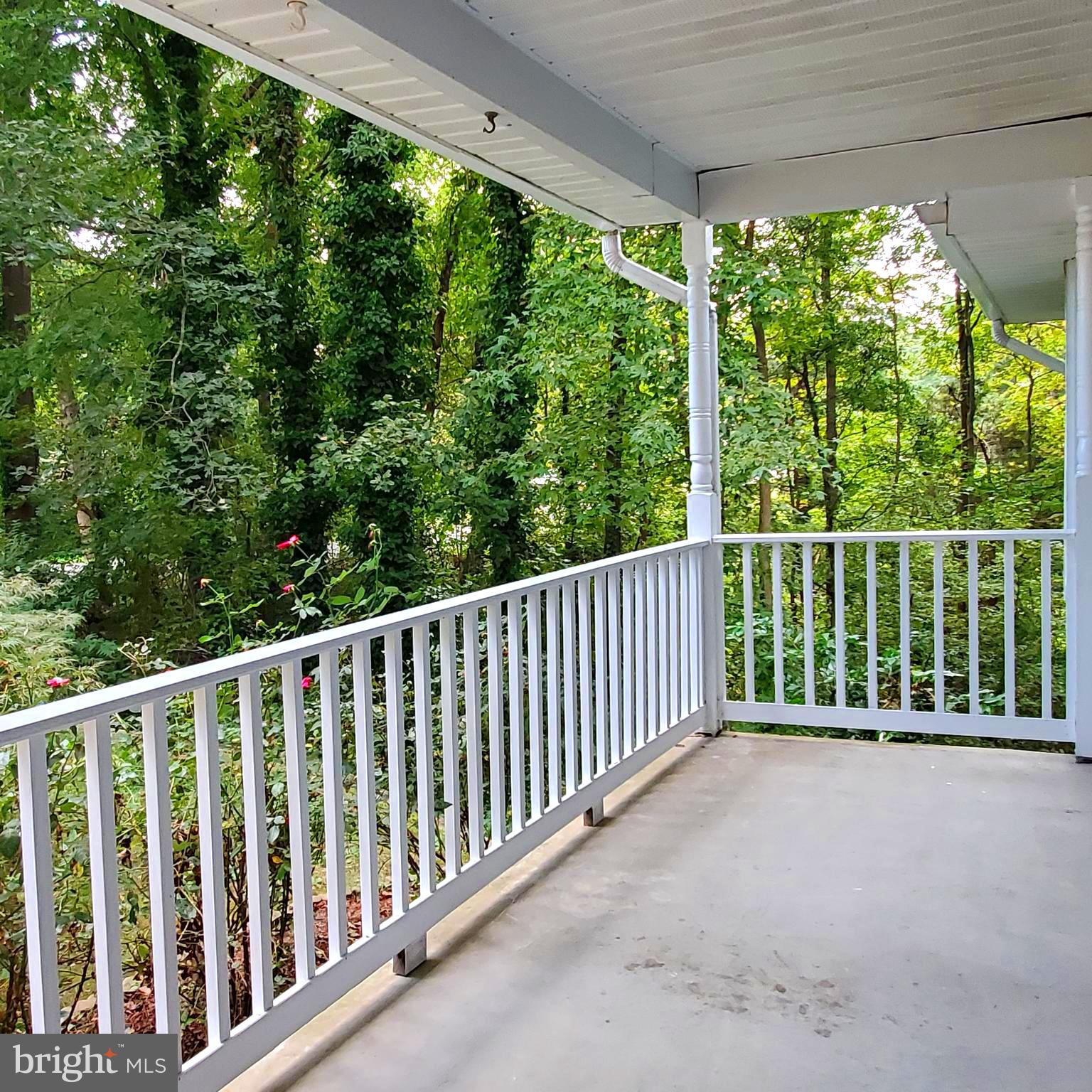 308 Ridgemore Street Fredericksburg, VA 22405 - Photo 3 of 38 FRONT PORCH
SUMMER VIEW