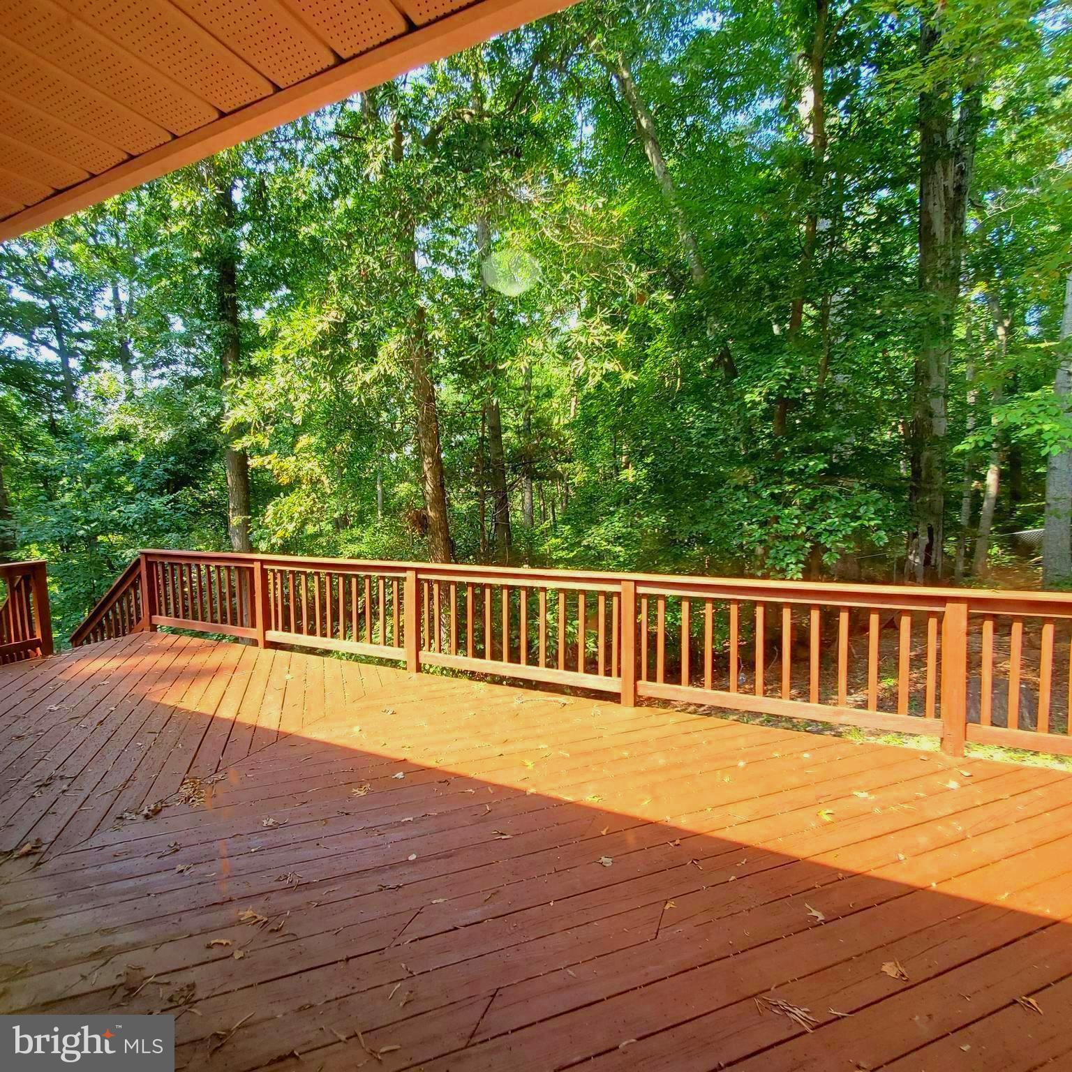 308 Ridgemore Street Fredericksburg, VA 22405 - Photo 33 of 38 MASTER BEDROOM SUMMER VIEW