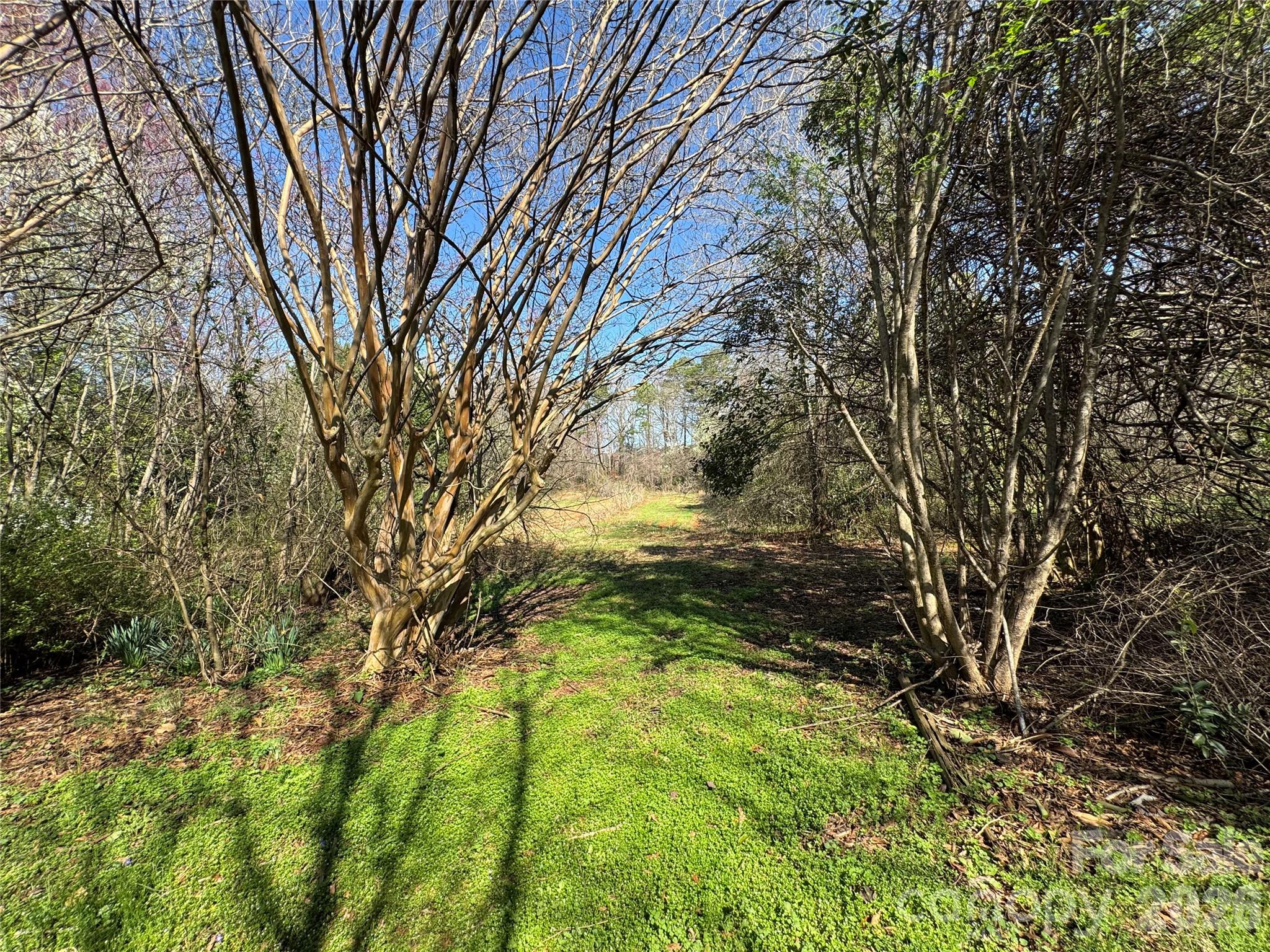 905 Conover Boulevard East Conover, NC 28613 - Photo 31 of 39 a backyard of a house with lots of green space