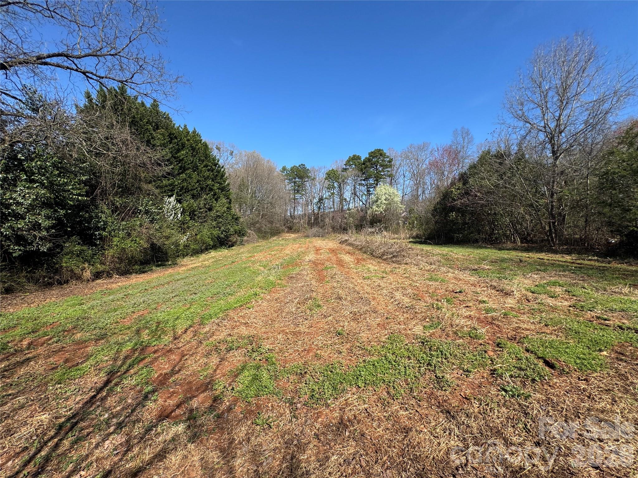 905 Conover Boulevard East Conover, NC 28613 - Photo 33 of 39 a view of a yard with a house
