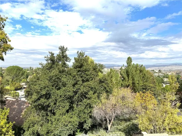 a view of a bunch of trees