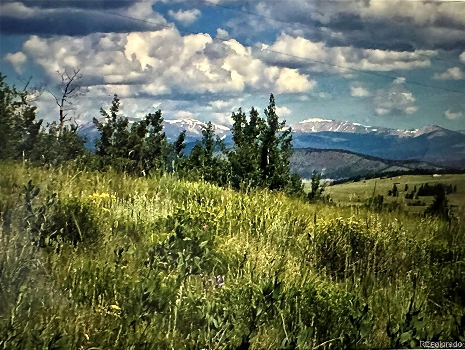 54 Blacksmith Road Hartsel, CO 80449 - Photo 1 of 13