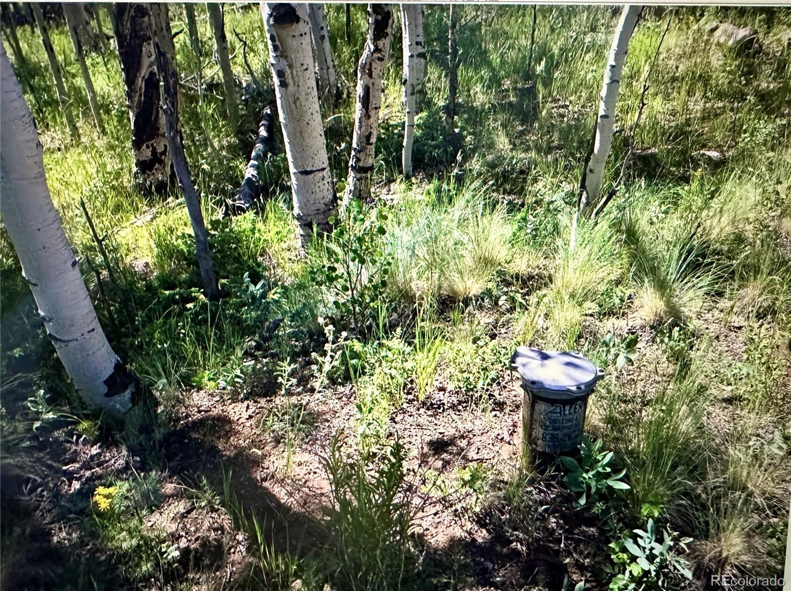54 Blacksmith Road Hartsel, CO 80449 - Photo 10 of 13