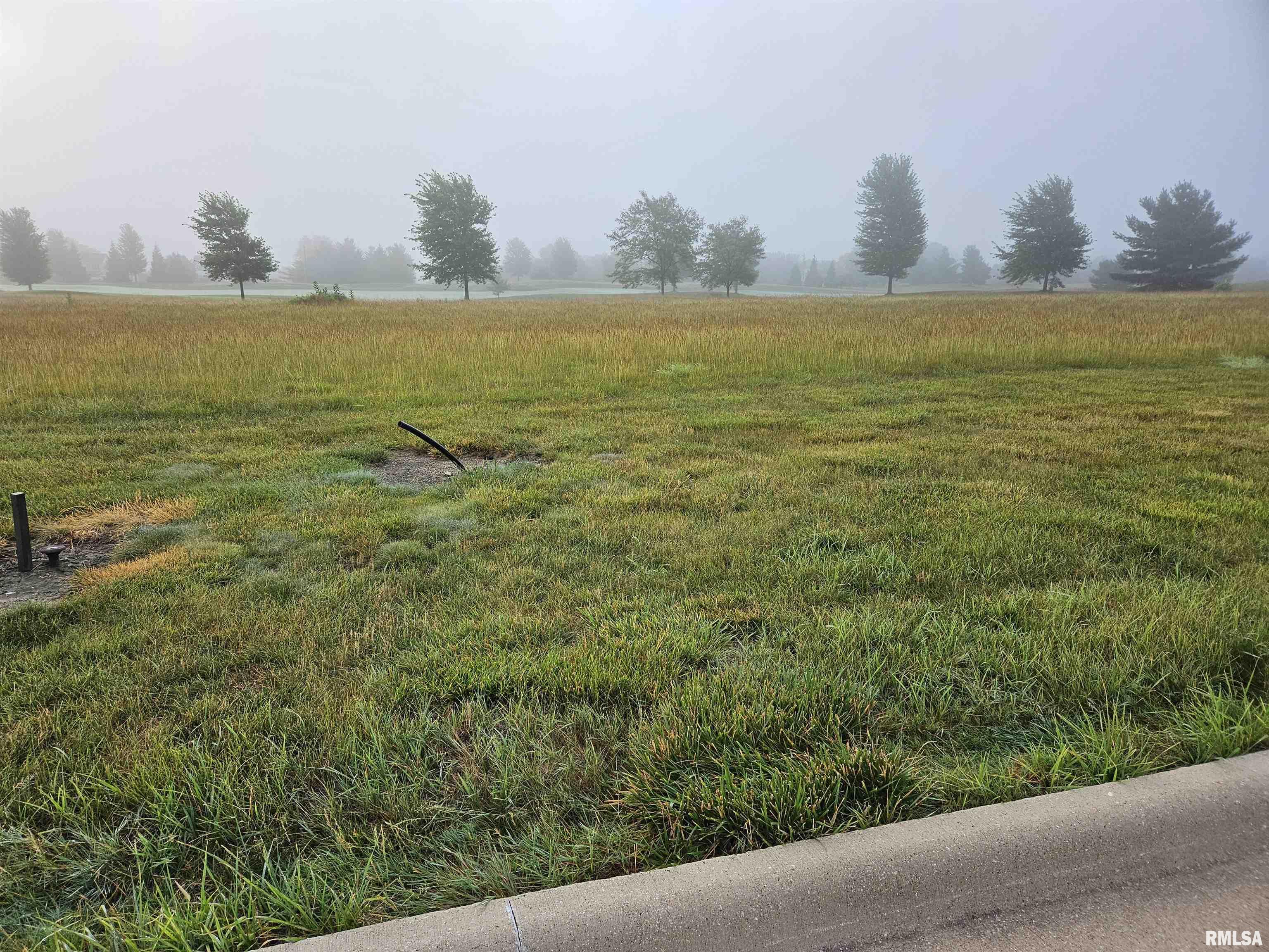 Lot 41 Brinkman Way Metamora, IL 61548 - Photo 1 of 1