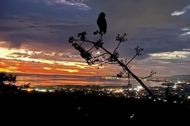 $8,500,000 | 6660 Gobernador Canyon Road, Carpinteria, CA 93013