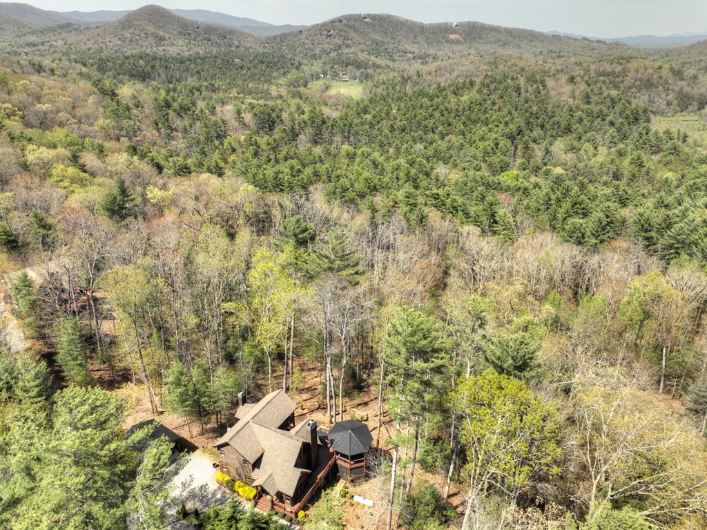 302 Indian Ridge Road Epworth, GA 30541 - Photo 74 of 76