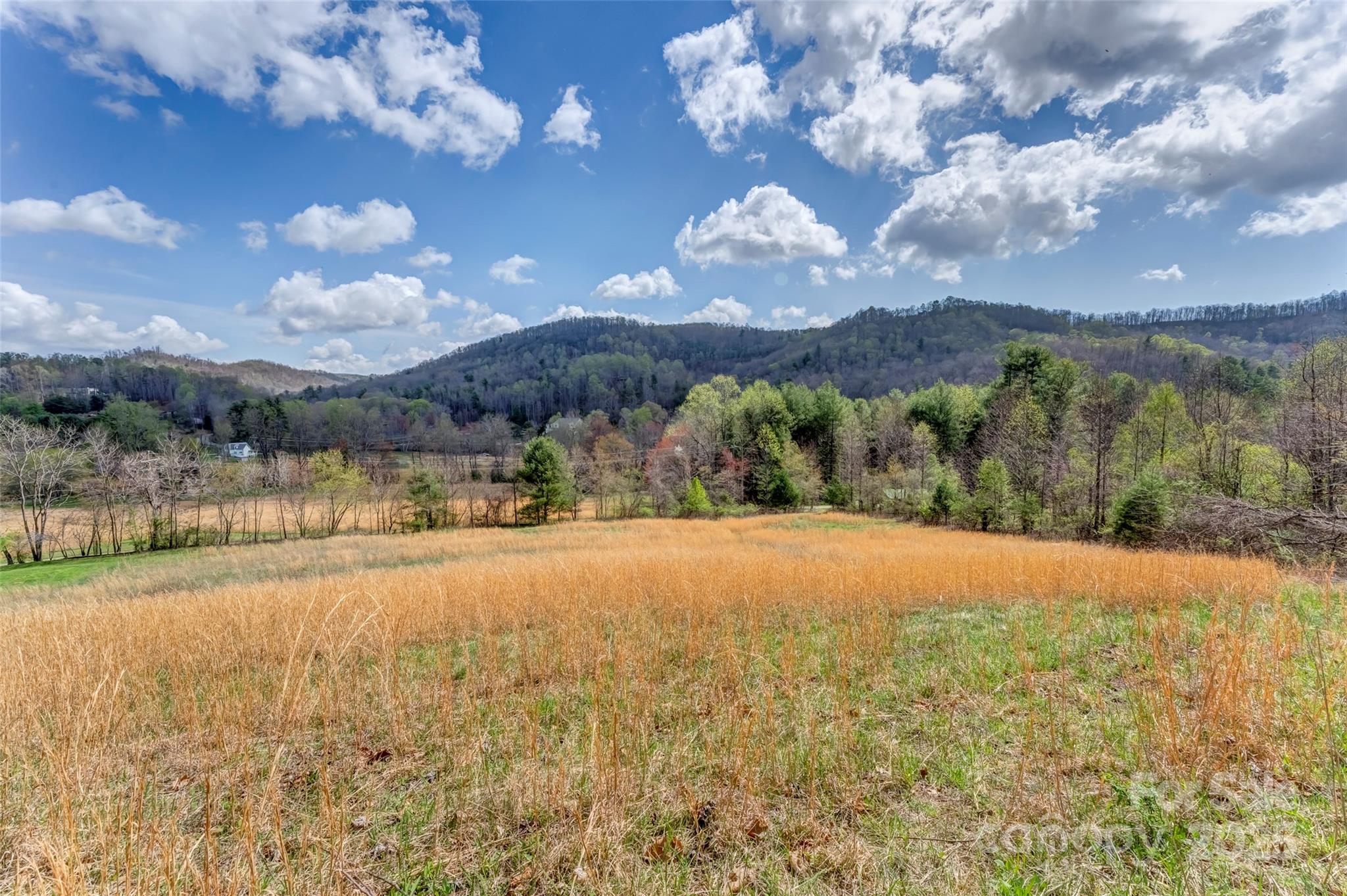 0 Union Hill Road Hendersonville, NC 28792 - Photo 1 of 13 Gallery Image 1