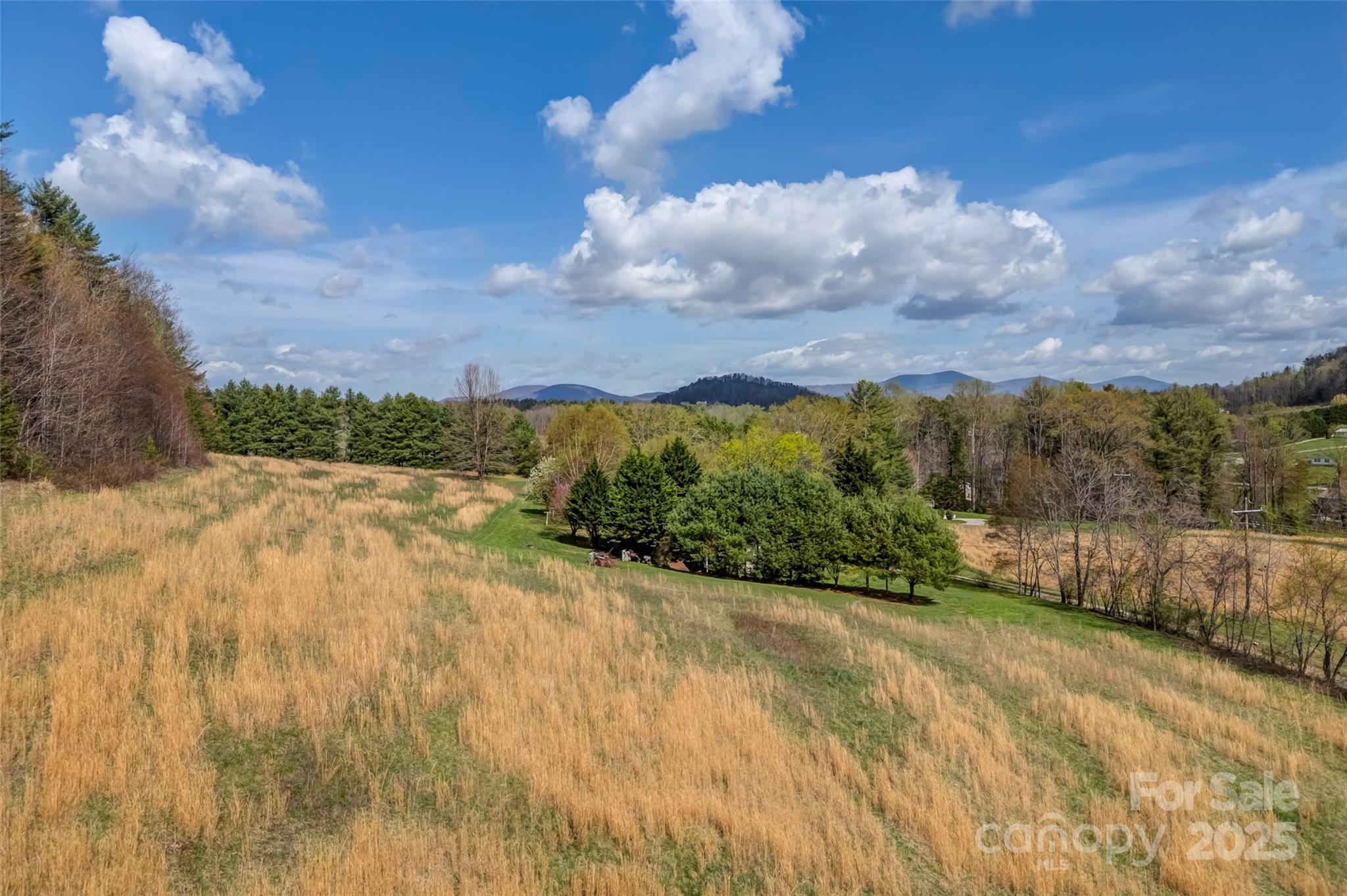 0 Union Hill Road Hendersonville, NC 28792 - Photo 3 of 13 Gallery Image 3