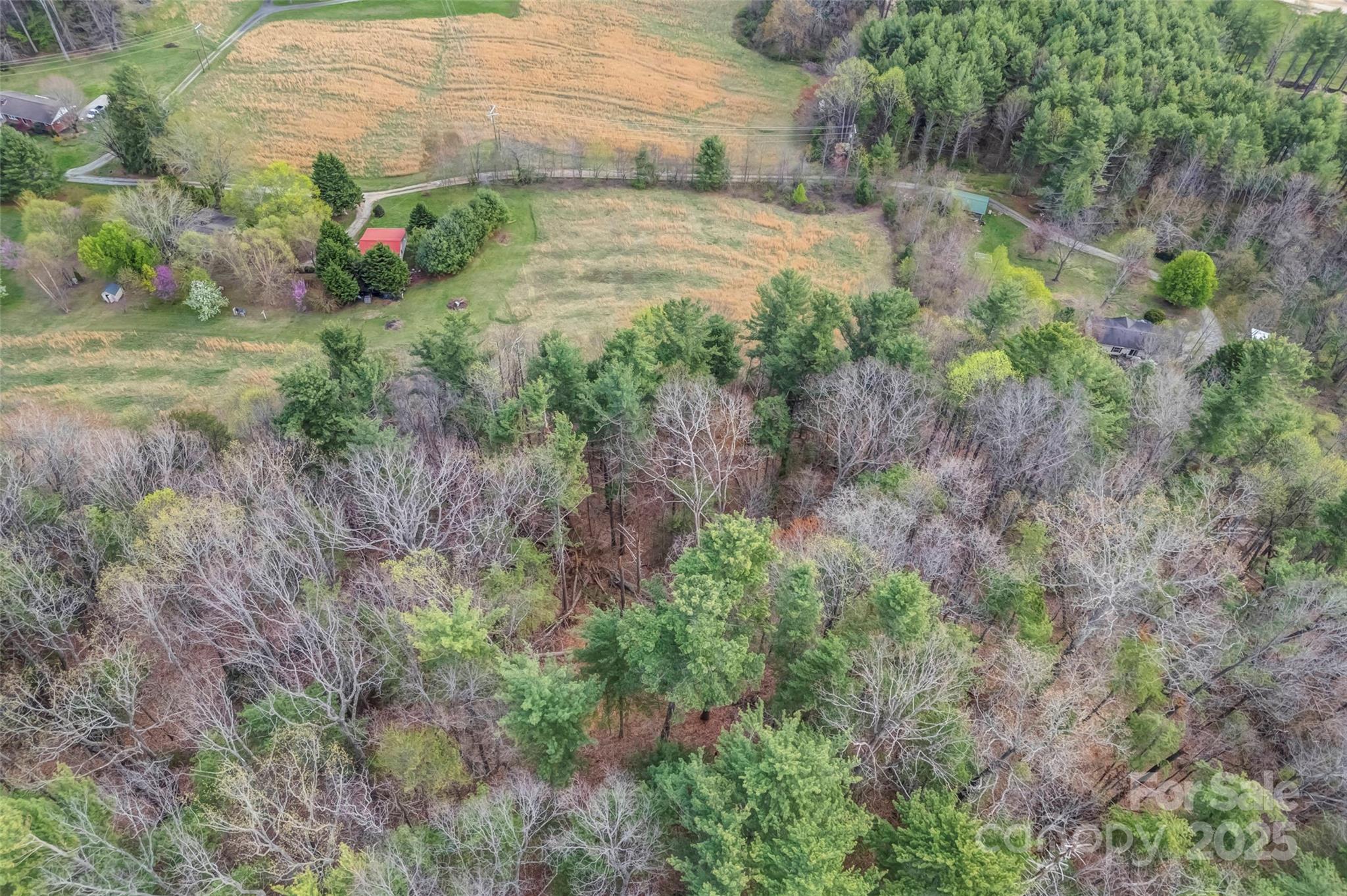 0 Union Hill Road Hendersonville, NC 28792 - Photo 7 of 13 Gallery Image 7