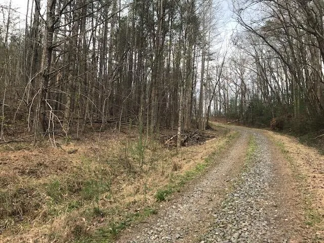 a view of backyard with green space