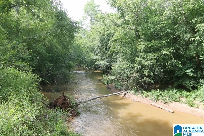 534 County Road, Unit 35± ACRES Woodland, AL 36280 - Photo 4 of 12