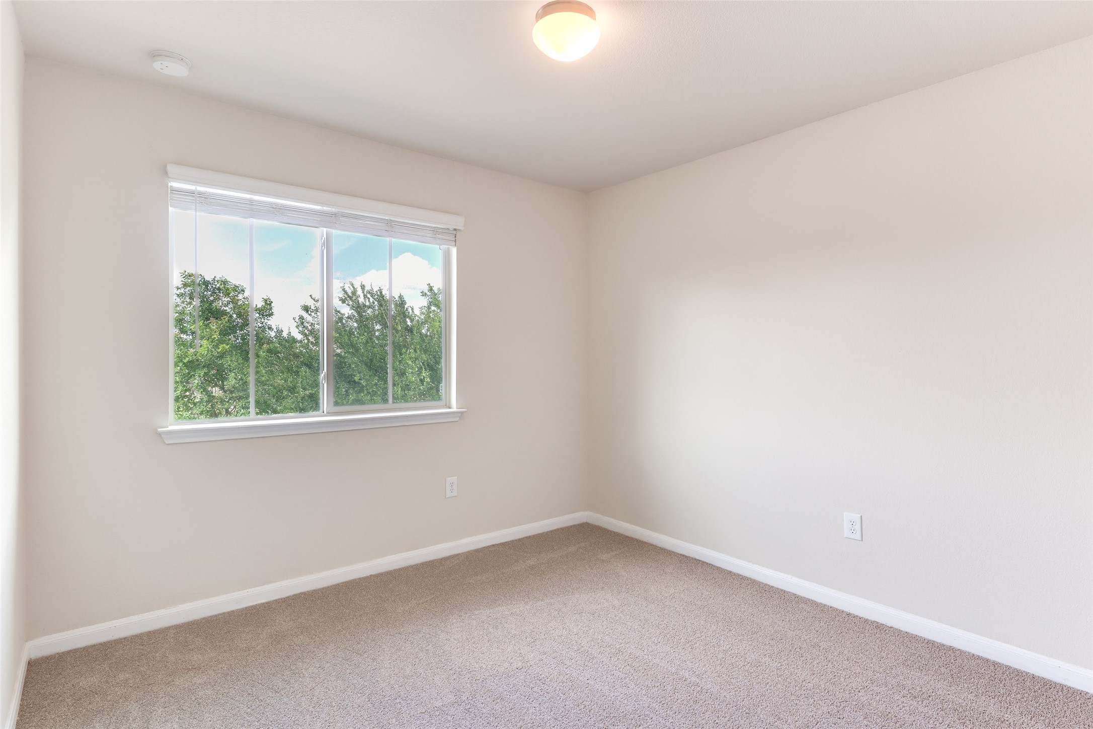 18705 Moreto Loop Pflugerville, TX 78660 - Photo 13 of 21 A well-lit bedroom with ample natural light from a broad window overlooking lush trees.