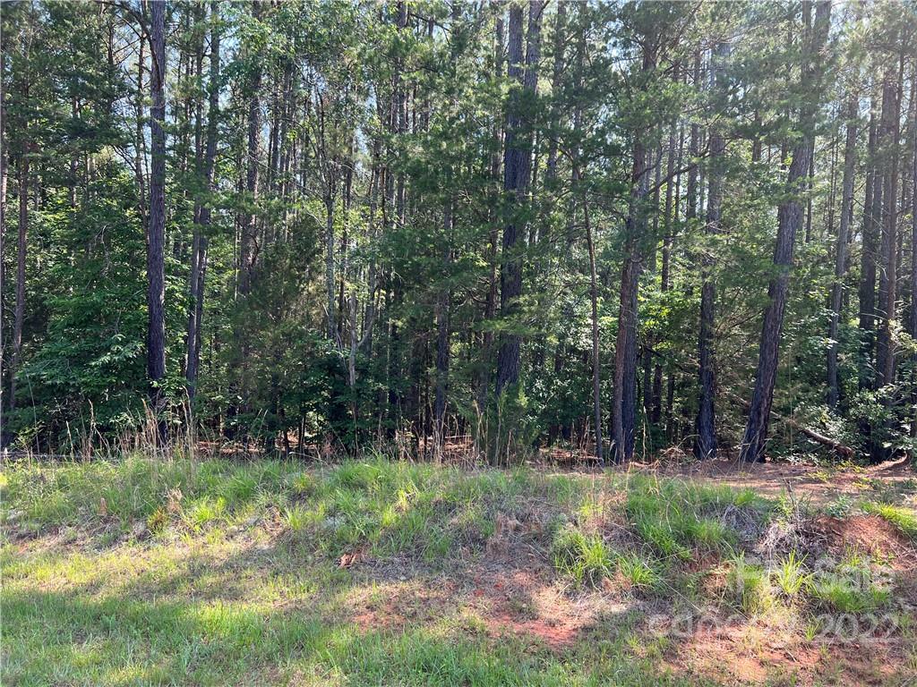 125 Sioux Road Gaffney, SC 29341 - Photo 3 of 3 a view of outdoor space and green space