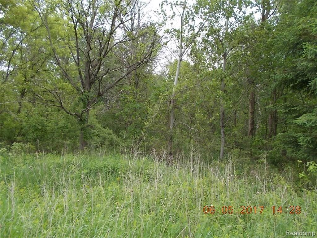 3233 Phillips Road Kingston, MI 48741 - Photo 8 of 9