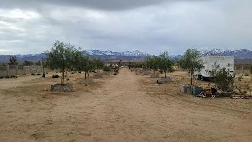 a bathroom with a sink and a shower