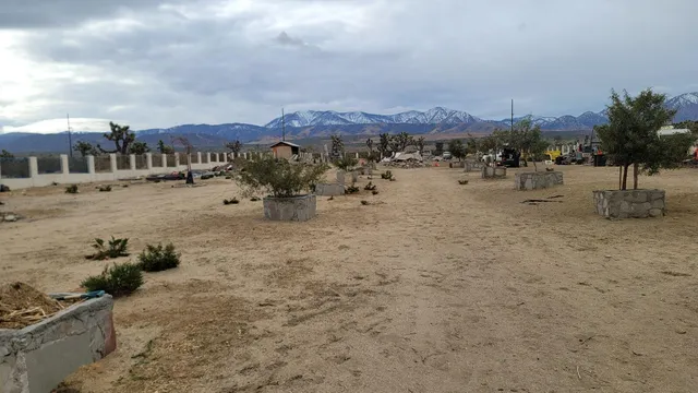 a view of a street with a building in the background
