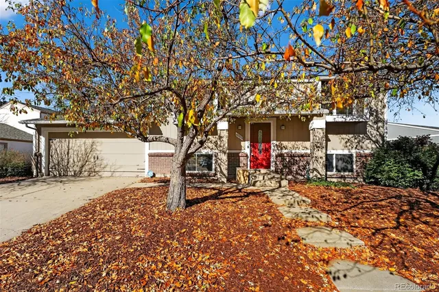 a view of a street with a tree