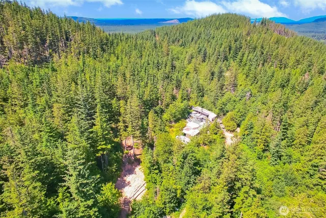 a view of a pathway both side of yard