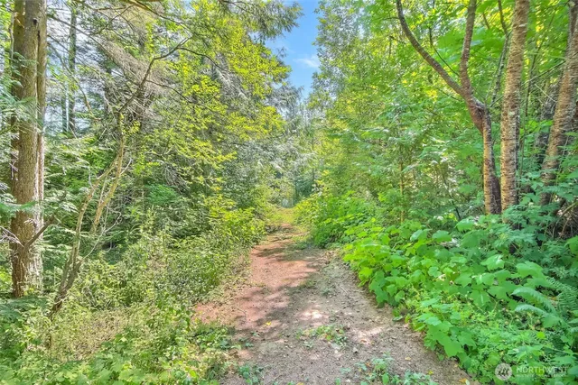 a view of a yard with plants and wooden fence