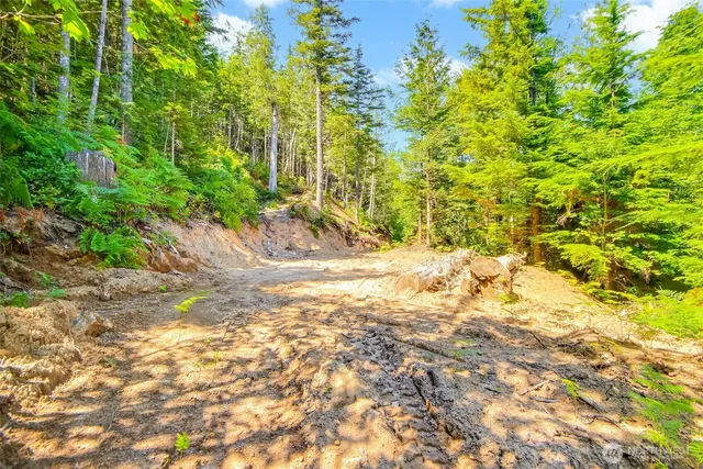 $450,000 | 32750 343rd Avenue Southeast, Ravensdale, WA 98051