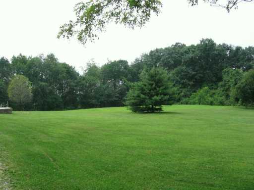 335 Frankfort Springs Road Georgetown, PA 15043 - Photo 5 of 5 Yard/Garden.