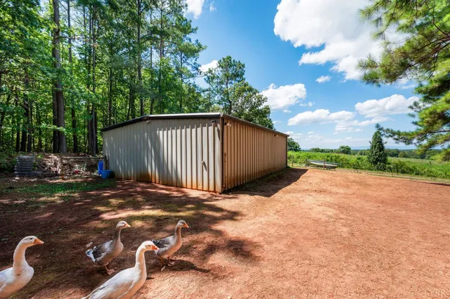 a backyard of a house with table and chairs plants and large tree