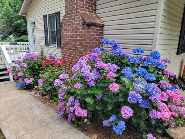 $347,900 | 3105 Horseshoe Road, Appomattox, VA 24522