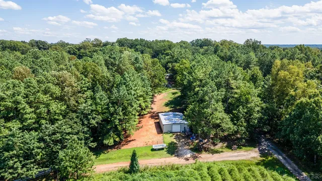 a view of a green field with lots of bushes