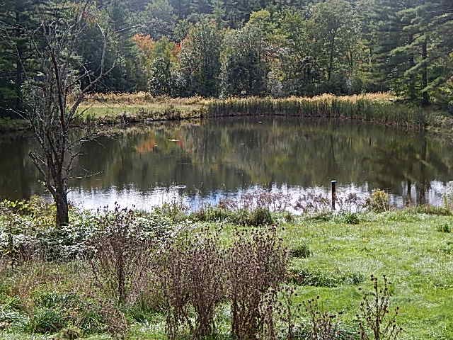 116 Swamp Road Epsom, NH 03234 - Photo 3 of 18