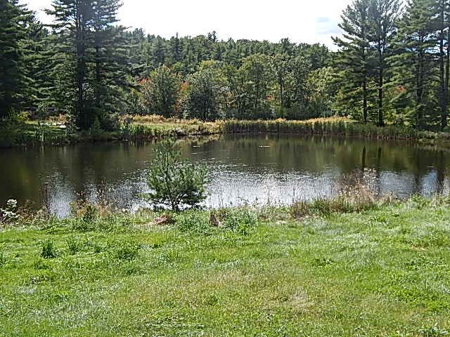 116 Swamp Road Epsom, NH 03234 - Photo 4 of 18