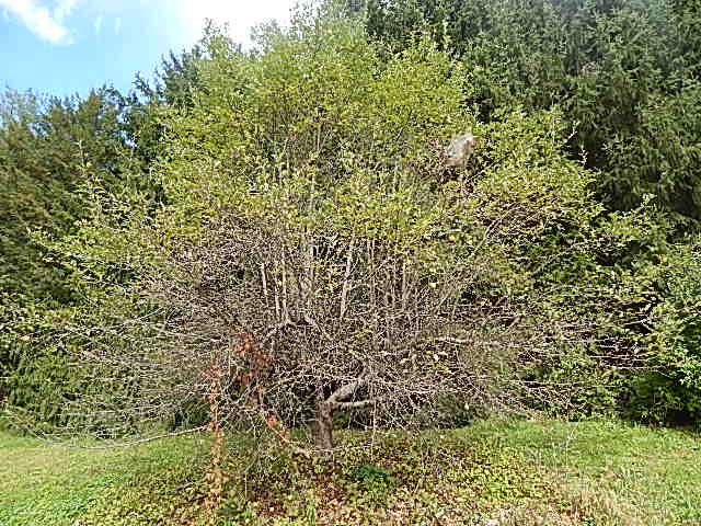 116 Swamp Road Epsom, NH 03234 - Photo 5 of 18