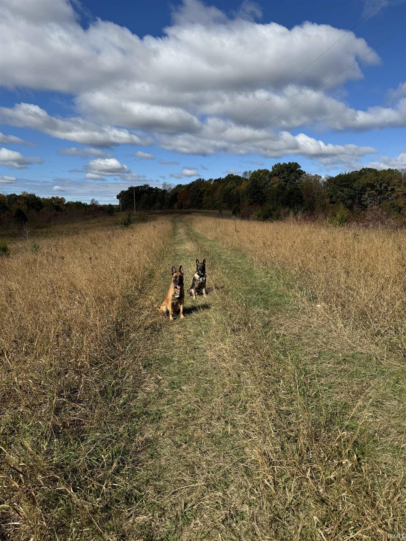 13494 East St Road Springville, IN 47462 - Photo 2 of 4