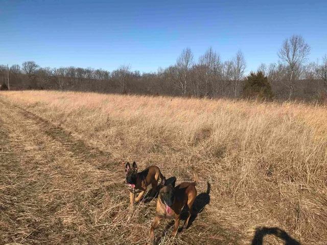 $826,000 | 13494 East St Road, Springville, IN 47462