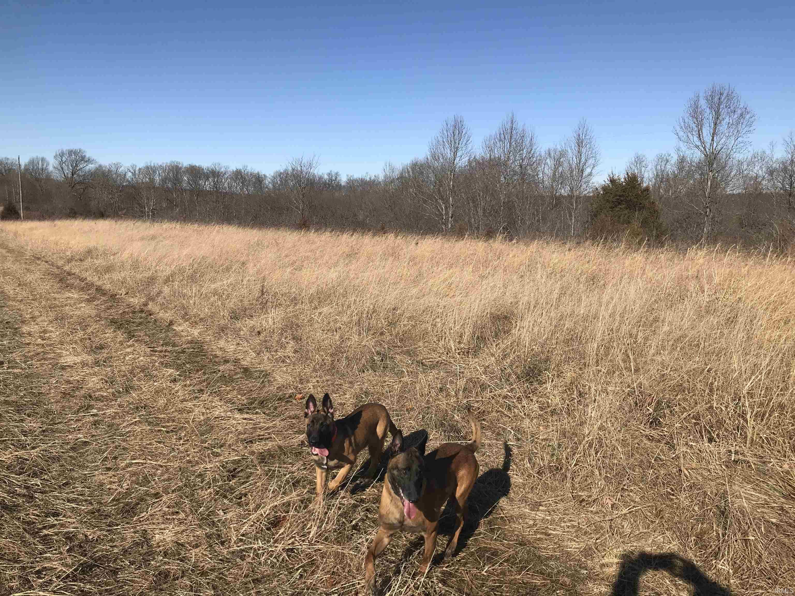 13494 East St Road Springville, IN 47462 - Photo 3 of 4