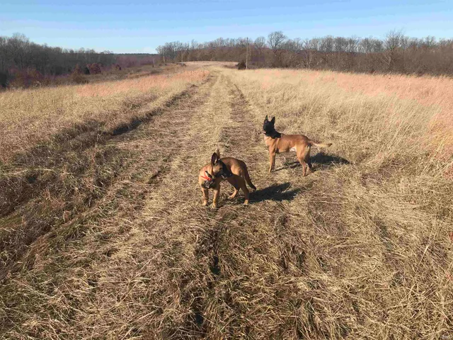 $826,000 | 13494 East St Road, Springville, IN 47462