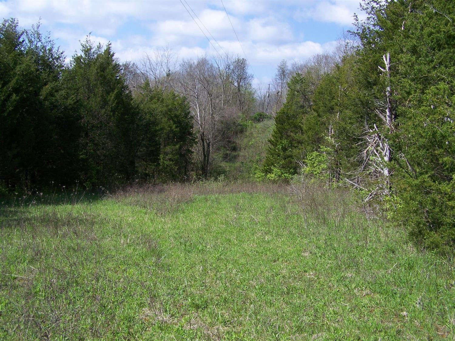 345 Fairview Road Harrodsburg, KY 40330 - Photo 17 of 20 Photo 17