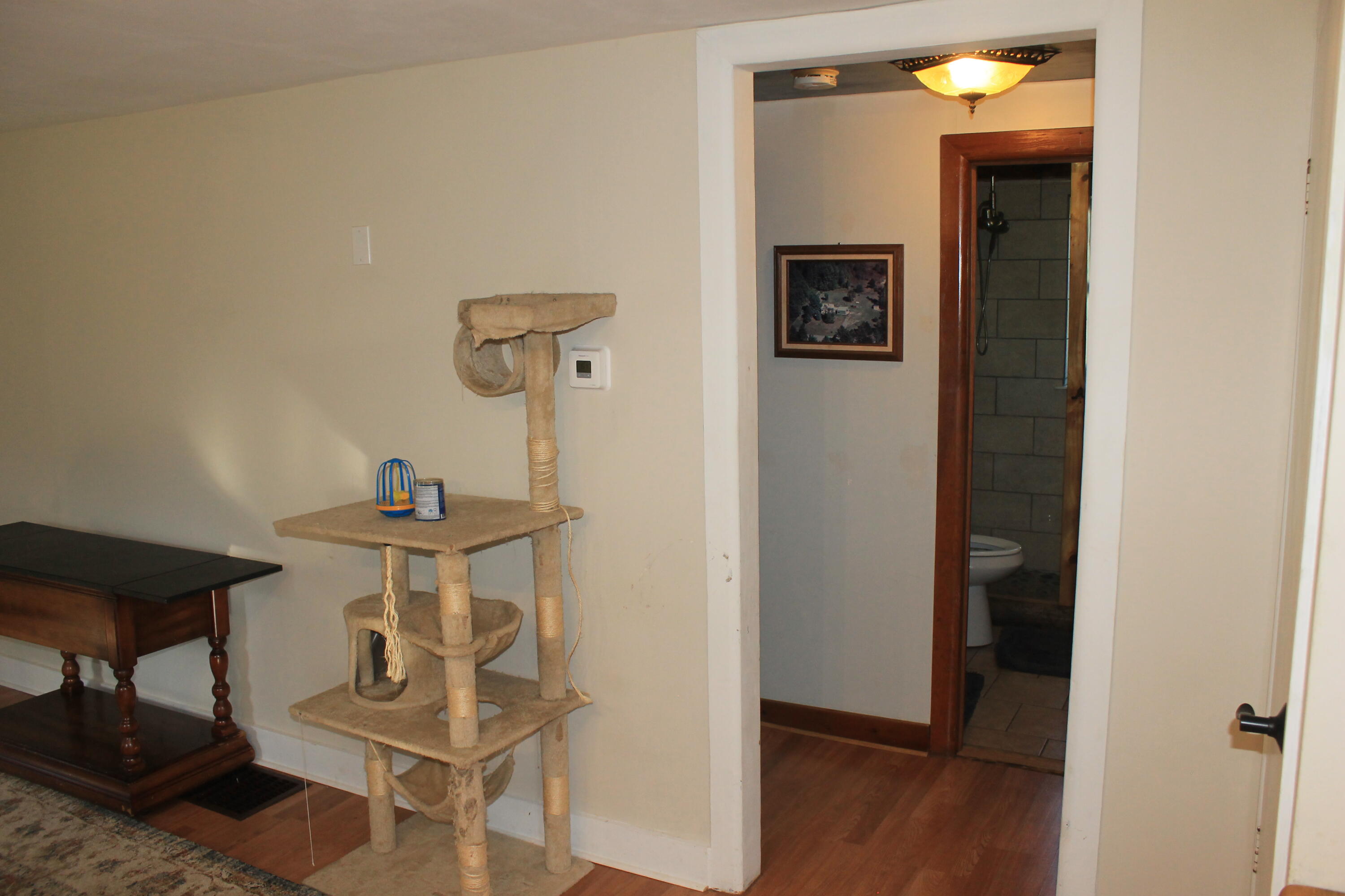 8126 North Petersen Road Frederic, MI 49733 - Photo 8 of 77 Gallery Image 8